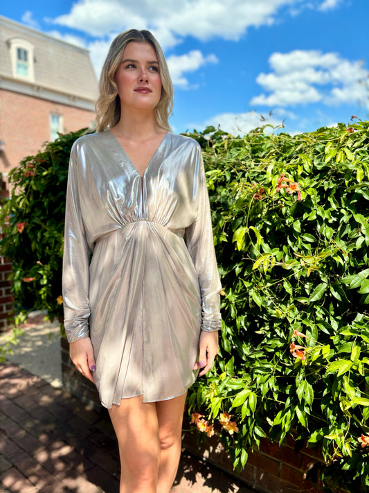 Rag & Bone Metallic Dress