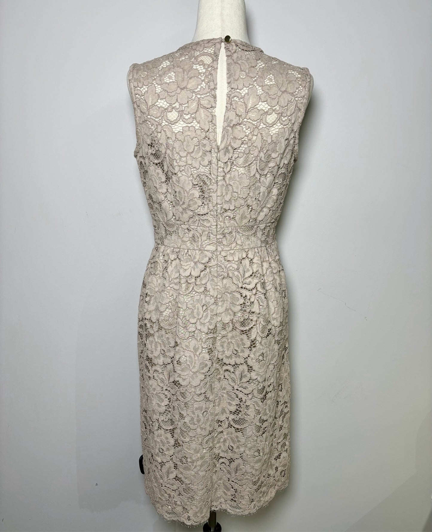 Women Size 8 Kate Spade Taupe Lace Cotton A-line Cocktail Dress