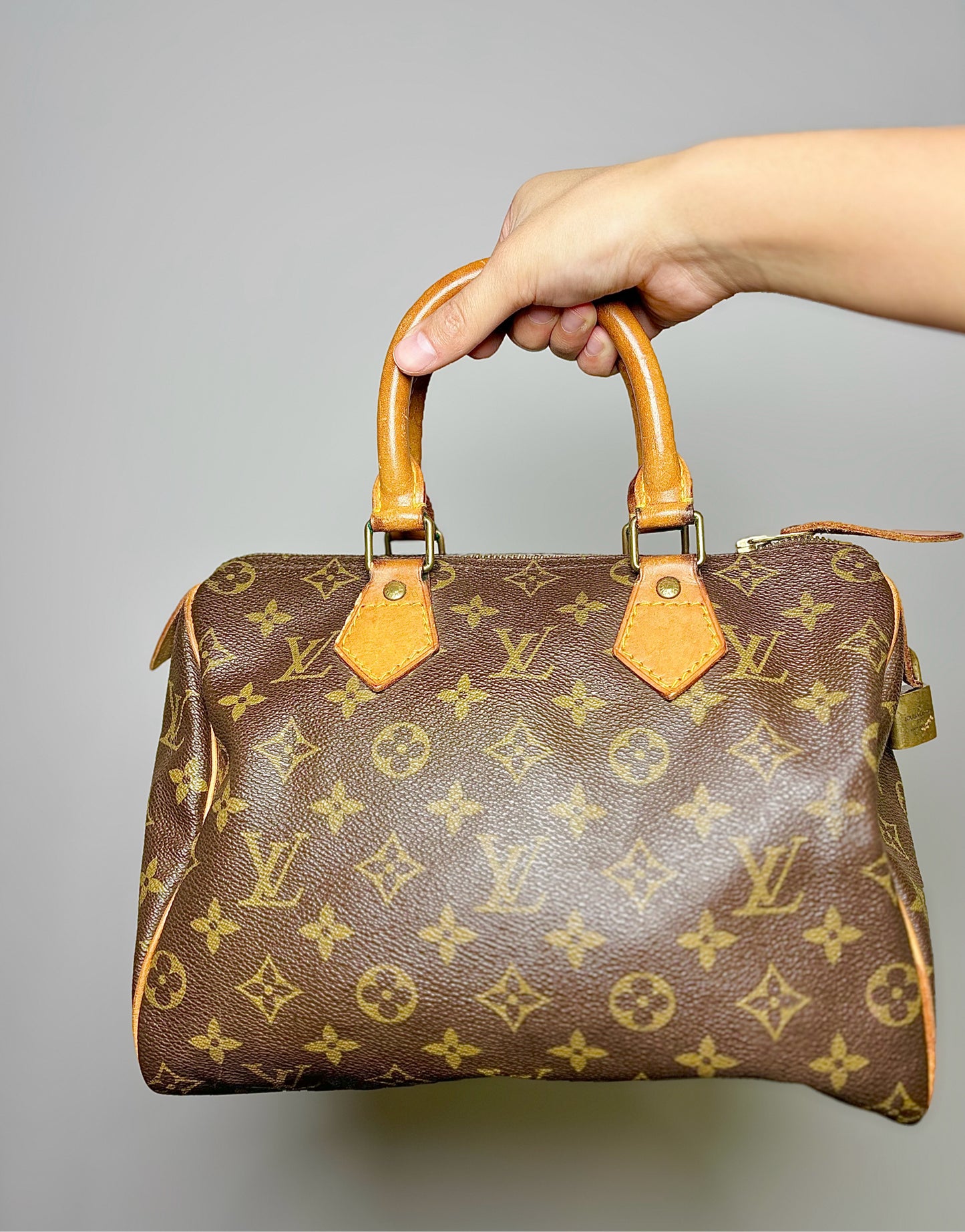 Brown Louis Vuitton Monogram Coated Canvas Purse