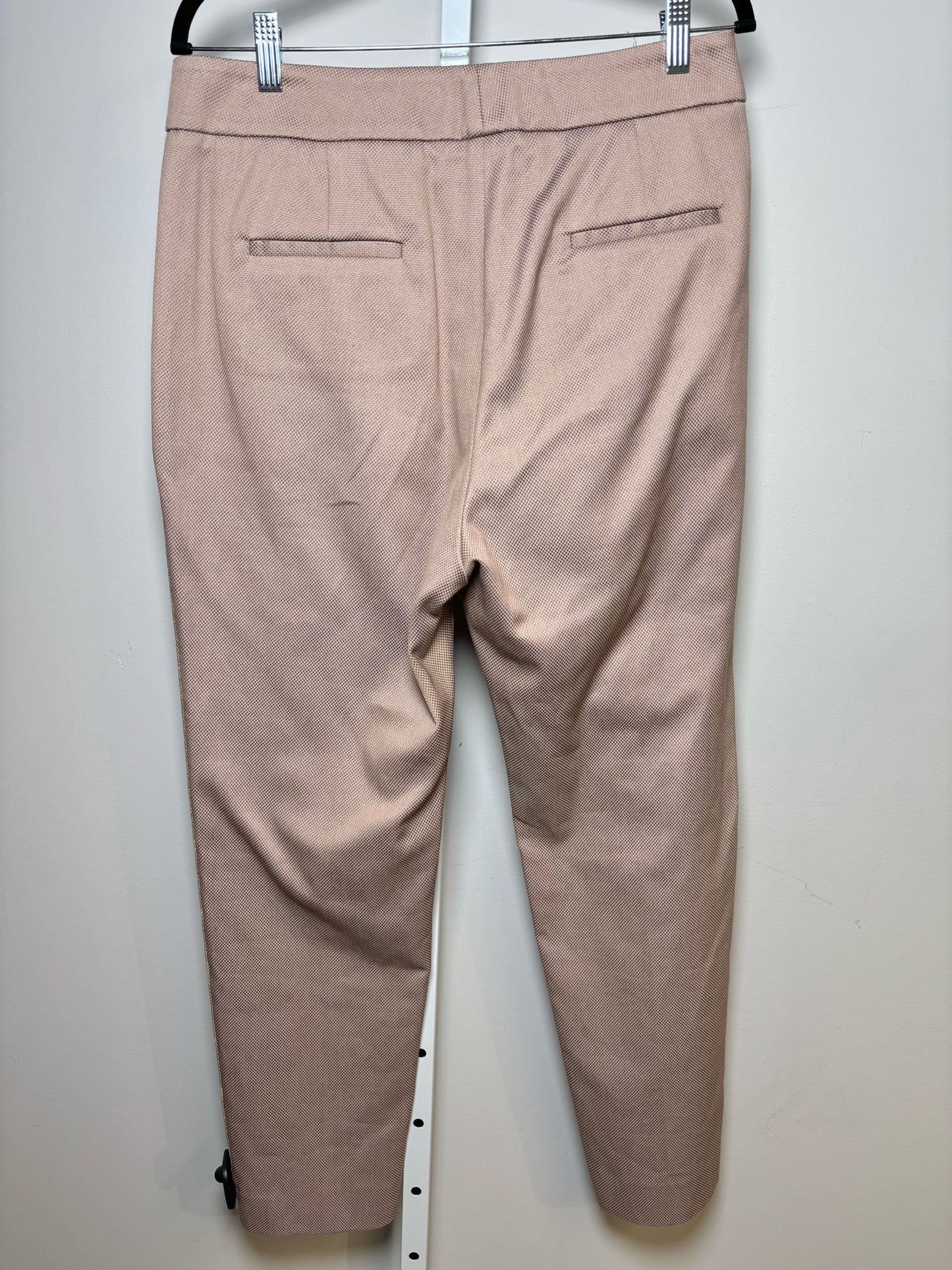 Women Size L Peserico Dusty Pink Solid Cotton Pants