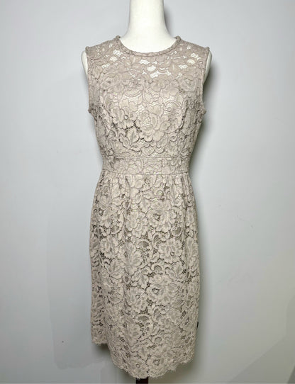 Women Size 8 Kate Spade Taupe Lace Cotton A-line Cocktail Dress