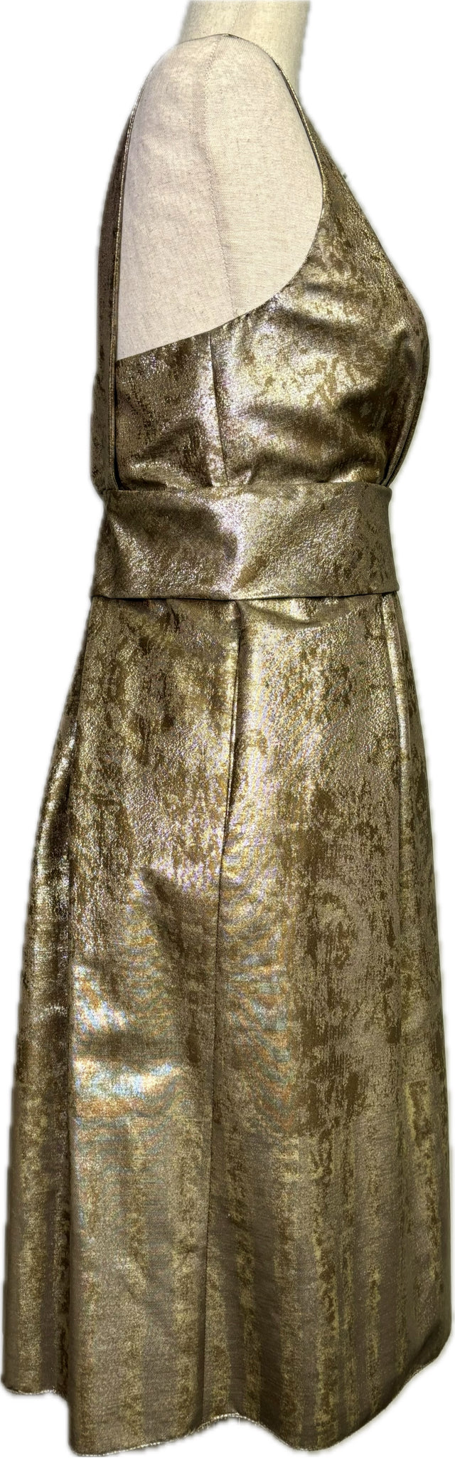 Etro Metallic Dress